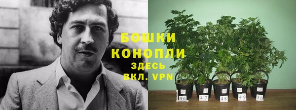спиды Протвино