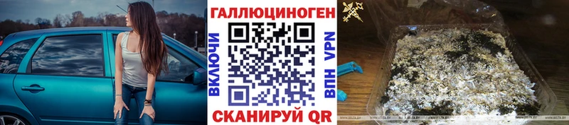 Псилоцибиновые грибы Cubensis Купить закладки Княгинино